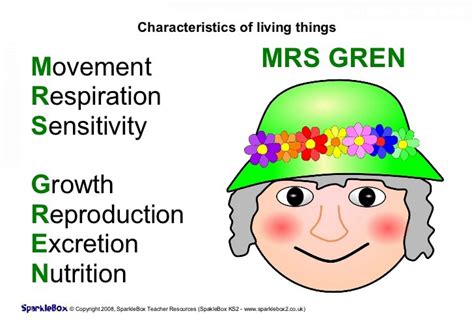 mrs gren meaning.